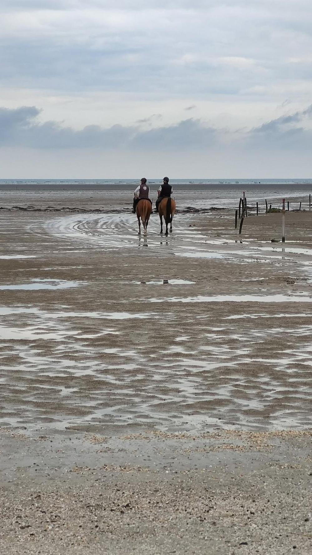 Le Lac Cherrueix ภายนอก รูปภาพ