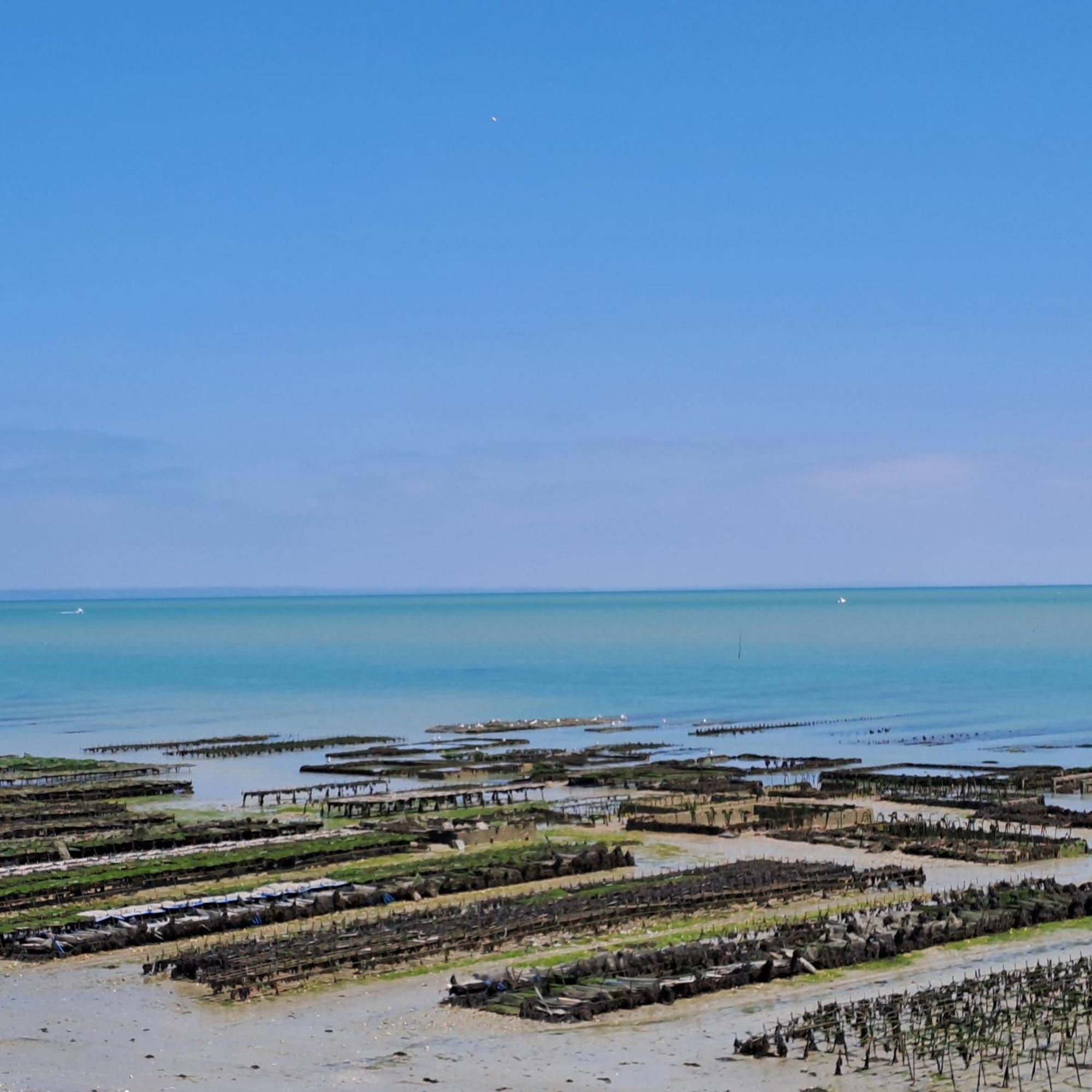 Le Lac Cherrueix ภายนอก รูปภาพ